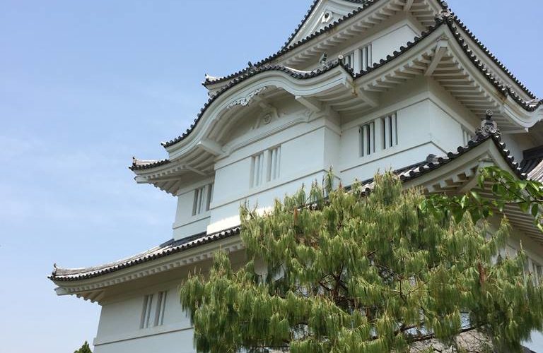 Japanese Castle in Chiba