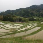 Beautiful terraced rice paddies in Chiba