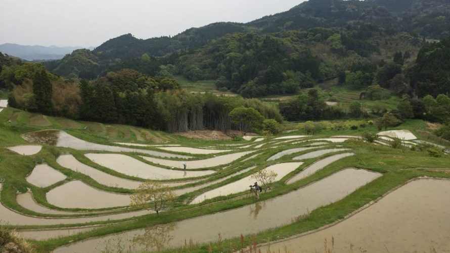 Beautiful terraced rice paddies in Chiba
