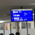 JGC修行の御用達：JAL公式アイランドホッピングツアーに参加してみた　⑧⑨宮古‐多良間‐宮古